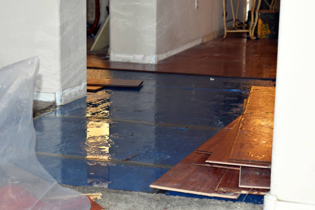 Professional Basement Water Removal technician working in Thornton, CA